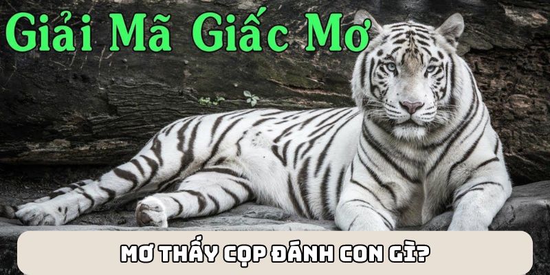 Dự báo giấc mơ khi mơ thấy cọp