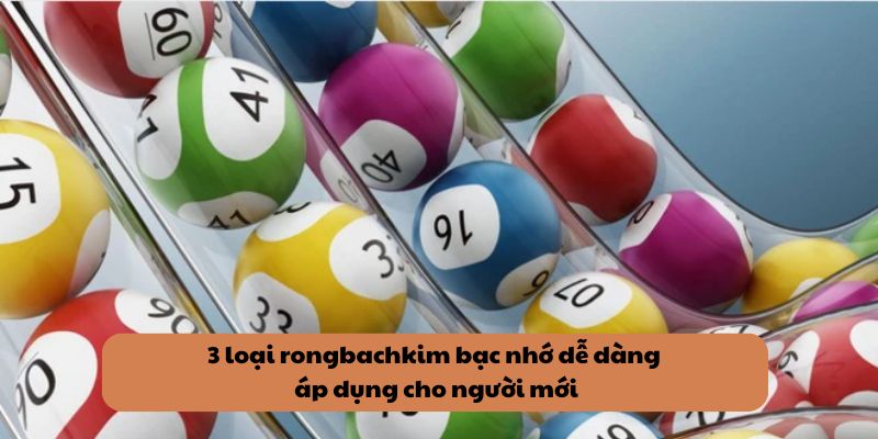 3 loại rongbachkim bạc nhớ dễ dàng áp dụng cho người mới