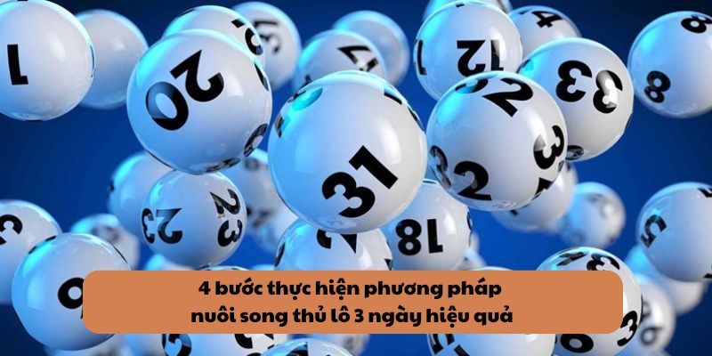 4 bước thực hiện phương pháp nuôi song thủ lô 3 ngày hiệu quả