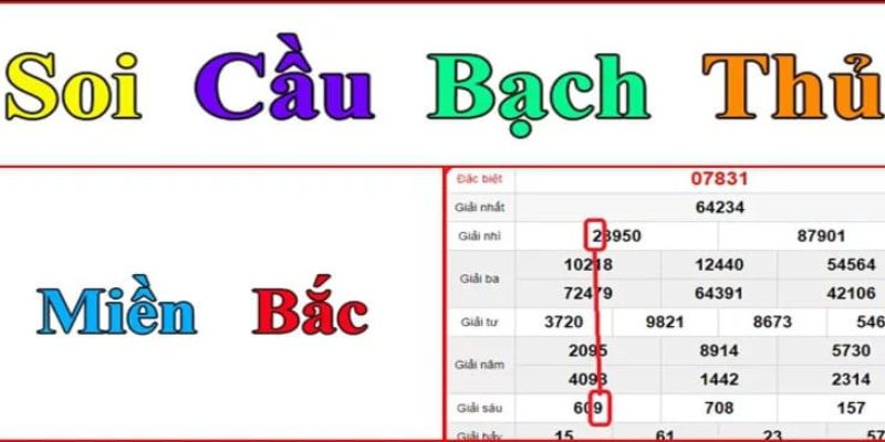 Hội viên có nên chơi bạch thủ lô miền Bắc không?