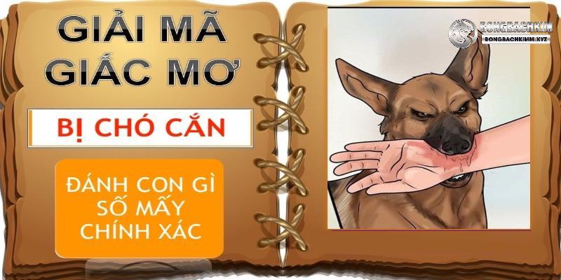 Một vài con số gắn liền với giấc mơ cụ thể