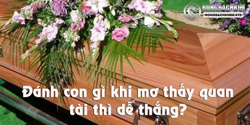 Khi mơ thấy quan tài nên đánh con gì dễ thắng nhất năm nay?