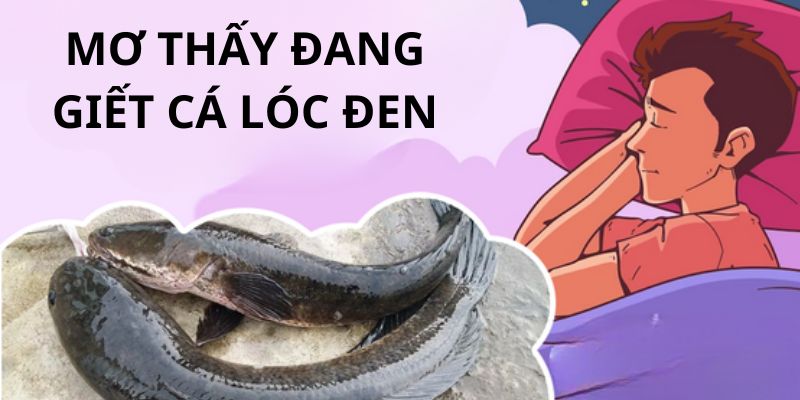 Chiêm bao về tình huống giết loài này