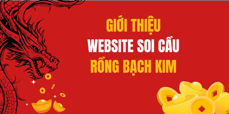 Rồng Bạch Kim - Chuyên trang soi cầu lô đề siêu chuẩn