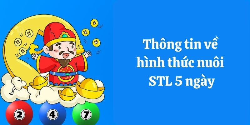 Thông tin về hình thức nuôi STL 5 ngày