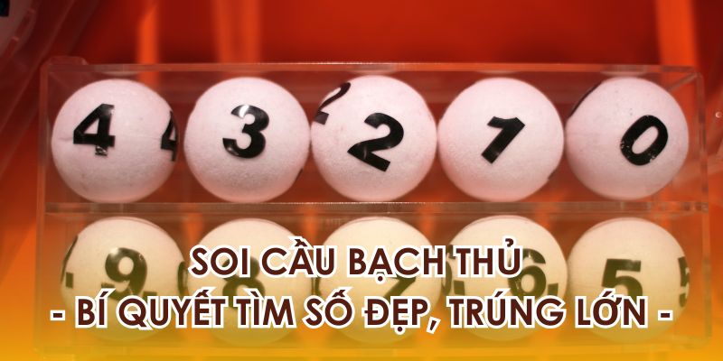 Soi Cầu Bạch Thủ